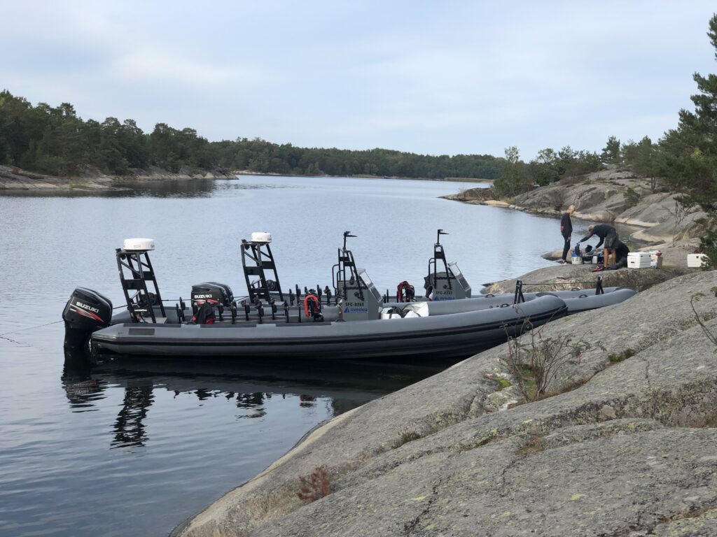 Nybroviken rib